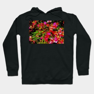 Stocksom Wildflower 2 Hoodie